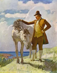 Sir Nat and the Horse